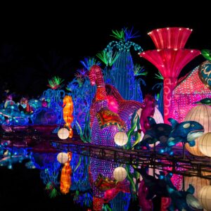 Dubai Garden Glow