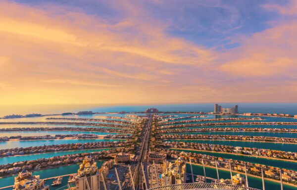 The View At The Palm