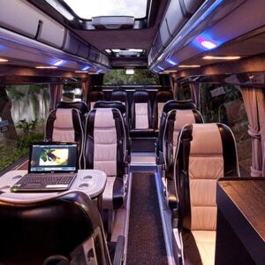 Private Mini Van