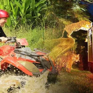 Dune Buggy Tour