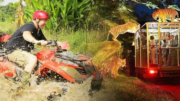 Dune Buggy Tour