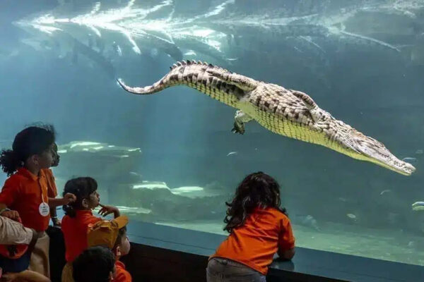Crocodile Park Dubai