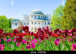 Discover Your Dream Stay with DoJoin