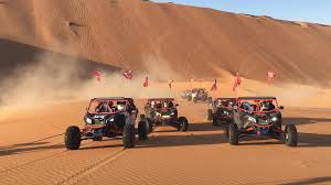 Tiger Buggy Ride