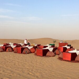 Conservation Drive & Breakfast at Al Maha